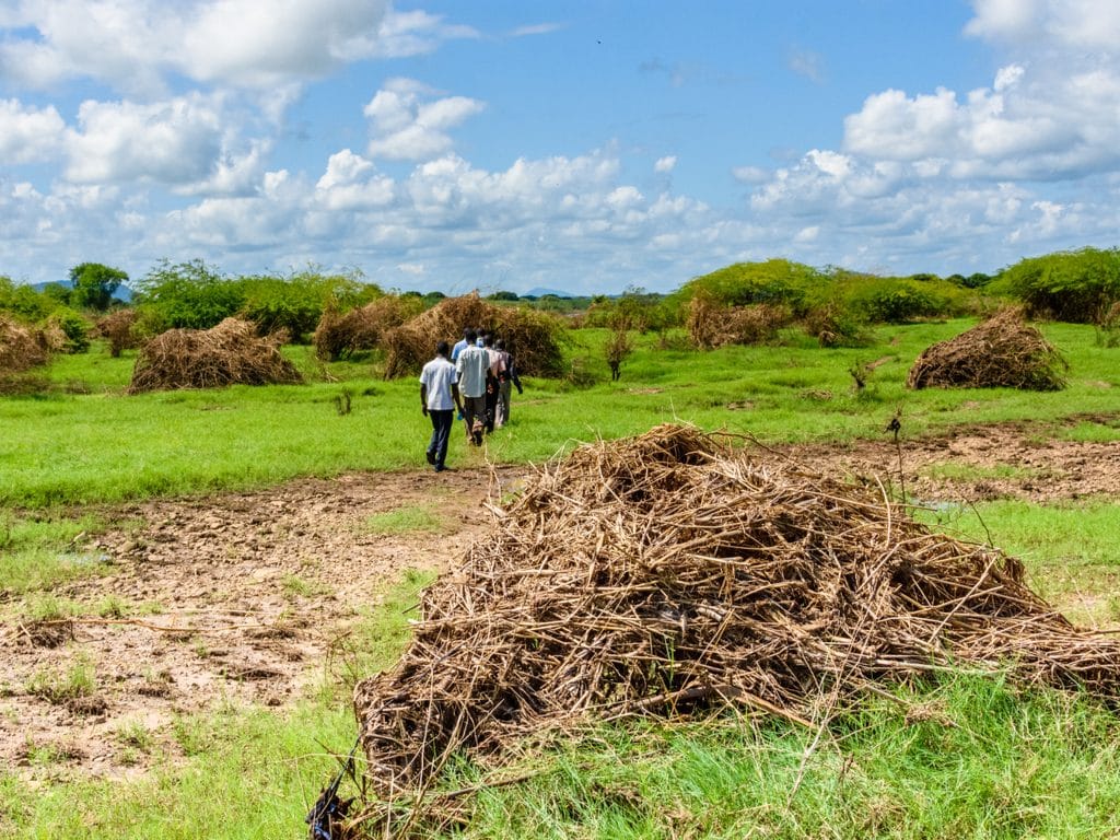 AFRICA: IITA launches agricultural waste-to-fertilizer project©JULIAN LOTT/Shutterstock
