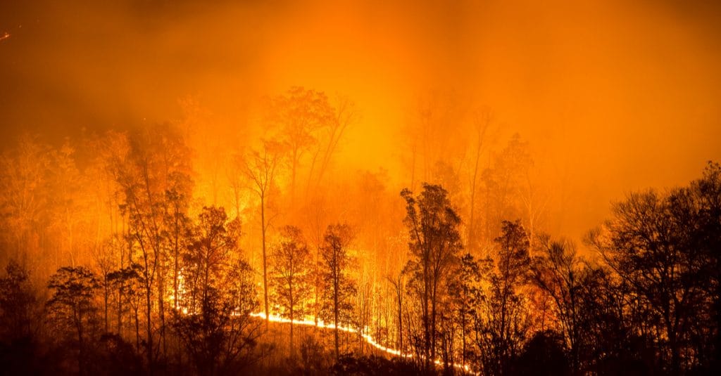 AFRICA: Vegetation cover is burning up©anthony heflinShutterstock