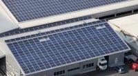 AFRIQUE : ElectriFI et EAV financent Solarise pour fournir l’off-grid aux entreprises©stockvideofactory/Shutterstock