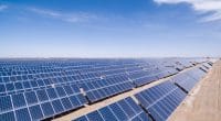 ALGERIA: 5,600 MW of solar power plants under construction©lightrain/Shutterstock