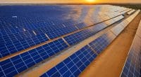 TUNISIE : le gouvernement met en service la centrale solaire de Tozeur I de 10 MW ©Jenson/Shutterstock