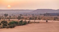 MALI : l’opération Koula vert pour reboiser et lutter contre l’avancée du désert©Madalin OlariuShutterstock