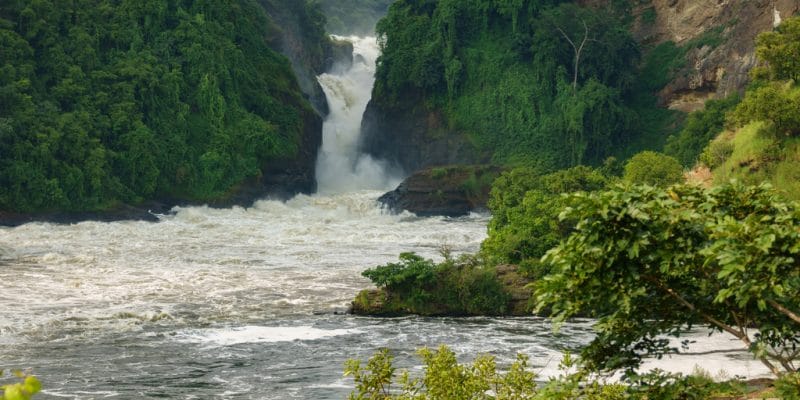 UGANDA: Government cancels Murchison Falls hydroelectric project©FCG/Shutterstock
