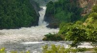 OUGANDA : le gouvernement annule le projet hydroélectrique de Murchison Falls©FCG/Shutterstock