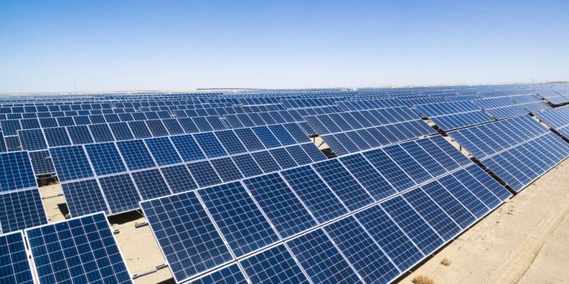 ALGERIA: Condor selected to build 50-megawatt solar power plant©zhu difeng/Shutterstock