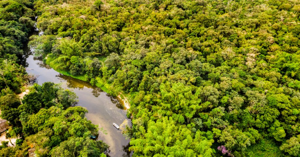 CENTRAL AFRICA: CAFI releases $65 million for forest conservation in Congo©Gustavo FrazaoShutterstock