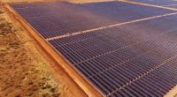 ÉGYPTE : Schneider Electric met en service une centrale solaire (5 MWc) dans le Sinaï© wadstock/Shutterstock
