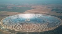 ÉGYPTE : SES s’allie au gouvernement pour un projet solaire à concentration (250 MW)©Novikov Aleksey/Shutterstock