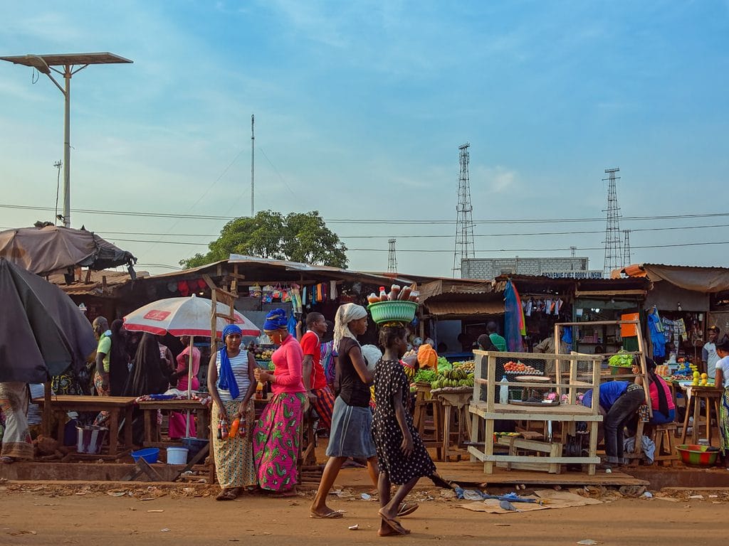 GUINÉE : Albayrak et Piccini vont gérer les déchets de Conakry pendant 4 ans©Igor Grochev/Shutterstock