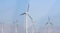 EGYPT: Lekela will start construction of Ras Ghareb wind farm before end-2019©Nebojsa Markovic/Shutterstock