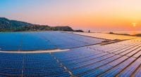 NAMIBIA: CPBN launches call for tenders for a 20 MWp solar power plant in Omburu© Nguyen Quang Ngoc Tonkin/Shutterstock