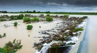 GUINEA: Eiffage to build a 40 MW dam in the West of the country© Tanes NgamsomShutterstock