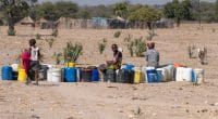 NAMIBIA: Drought-stricken Zambezi region receives $1.33 million for water©Dietmar Rauscher/Shutterstock