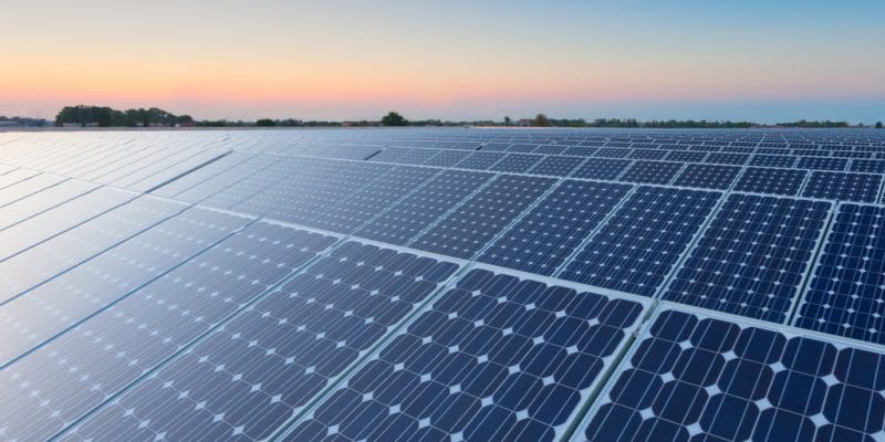 GAMBIA: Government seeking a consultant for a 150 MW solar project©PriceM/Shutterstock