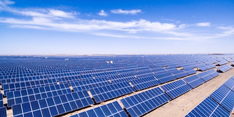 ÉGYPTE : Voltalia connecte une centrale solaire photovoltaïque de 32 MW à Benban©zhangyang13576997233/Shutterstock