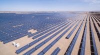 ÉGYPTE : EDF et Elsewedy mettent en service deux parcs solaires (130 MWc) à Benban©lightrain/Shutterstock