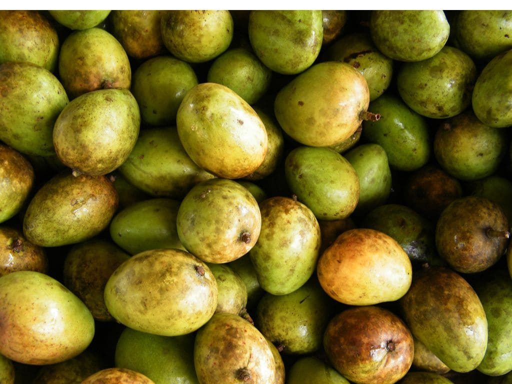 BURKINA FASO: Scientist uses mangoes to produce biogas©Designfacts/Shutterstock
