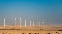 NAMIBIE : NamPower va investir 68 M$ pour développer deux projets éoliens©Octofocus/Shutterstock