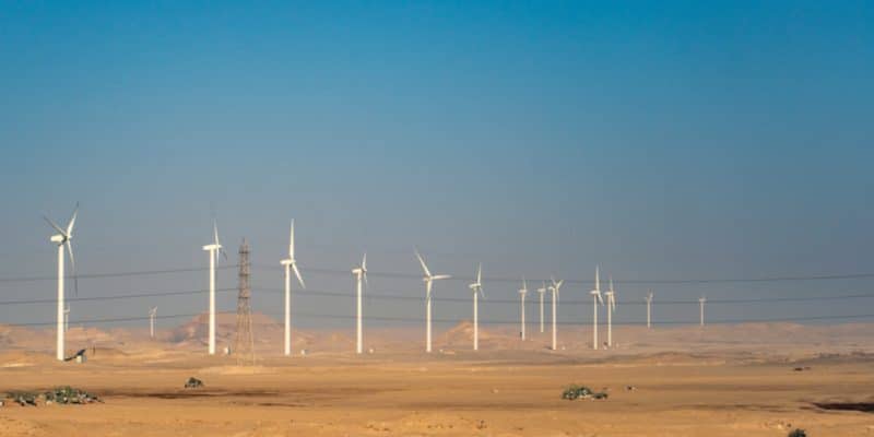 NAMIBIE : NamPower va investir 68 M$ pour développer deux projets éoliens©Octofocus/Shutterstock