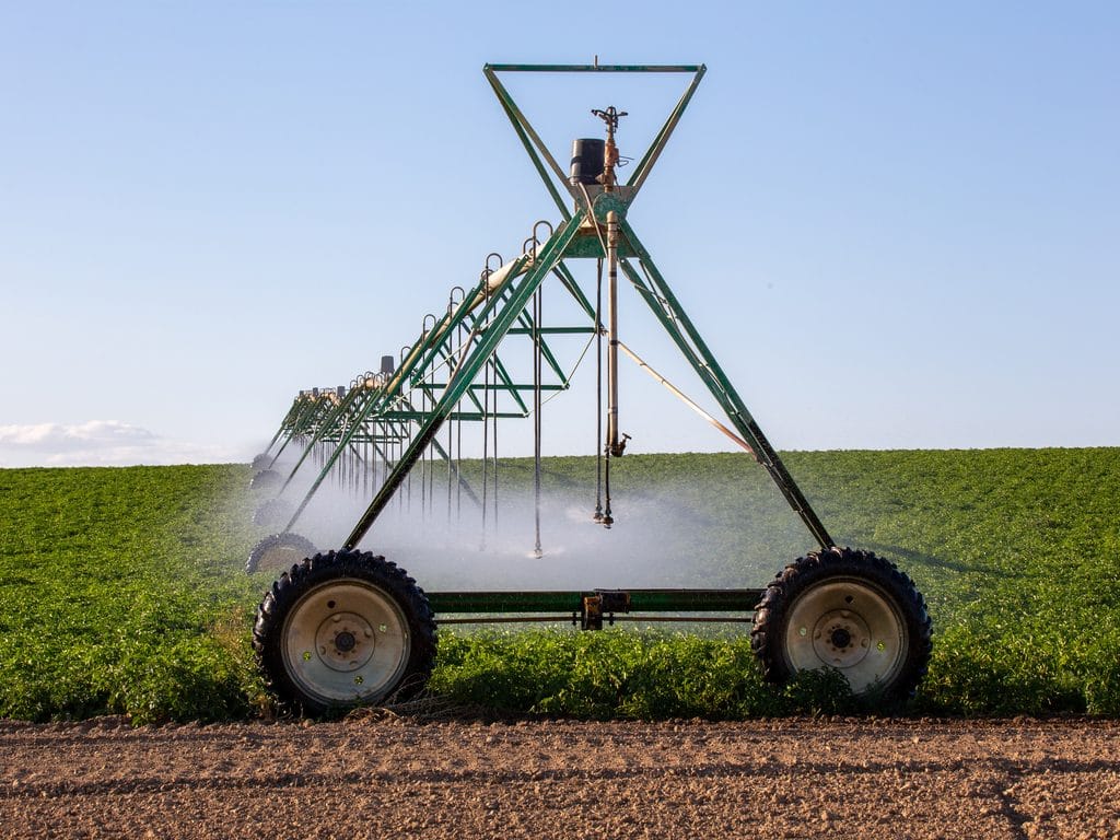 ÉGYPTE : le gouvernement va lancer un système d’irrigation plus économe en eau©fagianellaz/Shutterstock