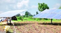 SOUDAN : la Koica et le Pnud s’allient pour intégrer le solaire dans l’agriculture©Jen Watson/Shutterstock