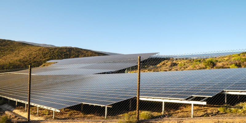 EGYPT: Vodafone will acquire solar power plant to supply its installations©underworld/Shutterstock