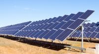 EGYPT: Acwa Power secures contract for 200 MWp of solar energy in Kom Ombo©Iakov Filimonov/Shutterstock