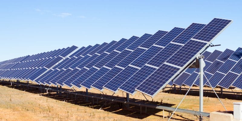 ÉGYPTE : Acwa Power décroche un contrat pour 200 MWc d’énergie solaire à Kom Ombo©Iakov Filimonov/Shutterstock