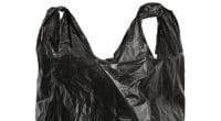 ALGÉRIE : les sachets plastiques de couleur noire seront interdits dès 2020©Anton StarikovShutterstock
