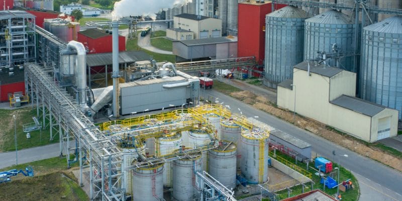 KENYA: Bamburi Cement relies on biomass to reduce costs of production©Stockr/Shutterstock
