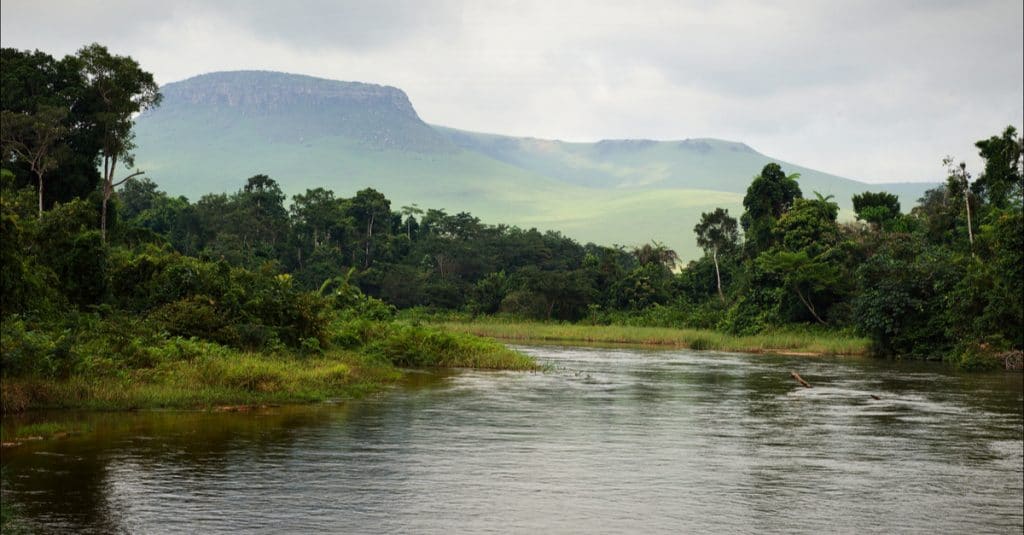 AFRIQUE CENTRALE : la Comifac veut mobiliser des fonds pour préserver sa biodiversité©Sergey Uryadnikov Shutterstock