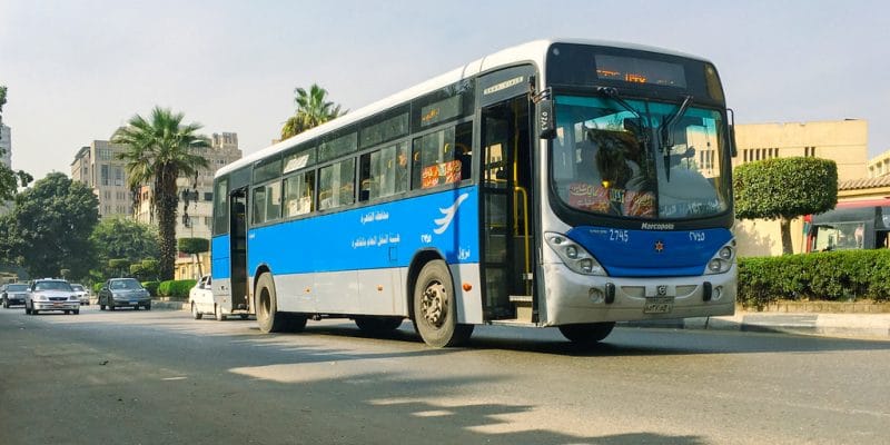 EGYPT: Government launches first electric bus service©Egyptian Studio/Shutterstock