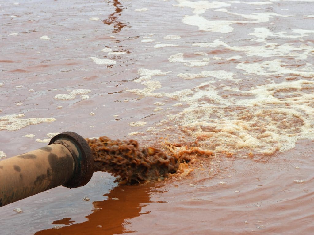 KENYA : les gouvernements locaux en première ligne contre la pollution du lac Victoria© WvdMPhotography/Shutterstock