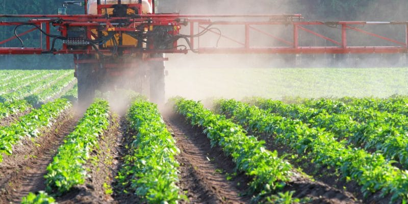 AFRICA: Scientists warn against neonicotinoid insecticides©CanettiShutterstock