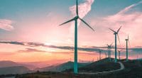 EGYPT: Engie and partners inaugurate wind farm in Ras Ghareb ©J/Shutterstock