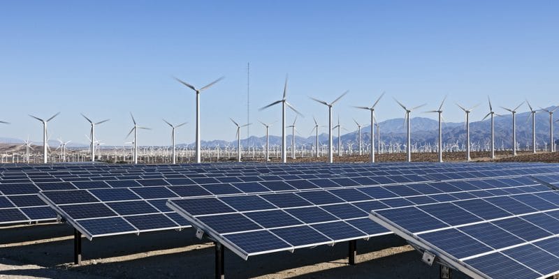AFRICA: RES4Africa and GWEC team up to develop renewable energy sources©KENNY TONG/Shutterstock