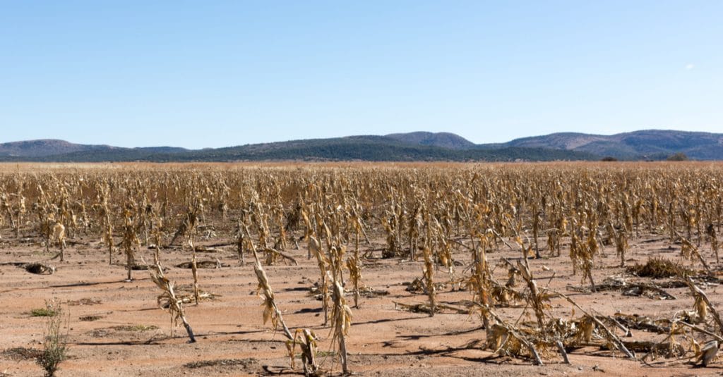 drought in southern africa