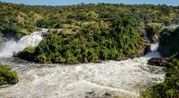 OUGANDA : le gouvernement relance le projet hydroélectrique sur les chutes Murchison©Dennis Wegewijs/Shutterstock