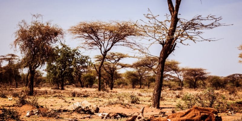 AFRIQUE : l’UE accorde une subvention à l’Initiative d’adaptation pour l’Afrique©Geerte Verduijn/Shutterstock