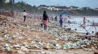 COTE D’IVOIRE : Port-Bouët et Nestlé s’allient contre déchets plastiques ©Maxim Blinkov/Shutterstock