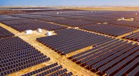 TUNISIA: Engie and Nareva plan to build a 100 MWp solar power plant in Gafsa ©Jenson/Shutterstock