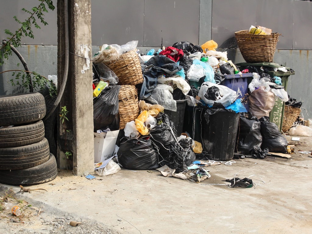 TOGO: Waste remediation and management project launched in Aného©3ffi/Shutterstock
