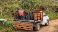 UGANDA: German football club plants trees for environmental protection©PlataRoncalloShutterstock