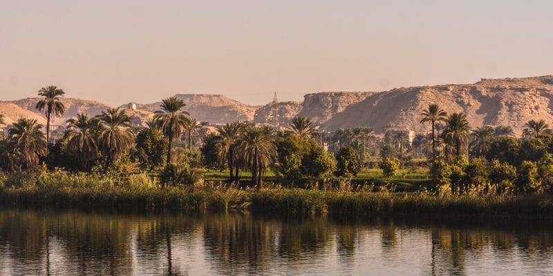 ÉGYPTE : le gouvernement veut construire des petites centrales dans le delta du Nil©Annik Susemihl/Shutterstock