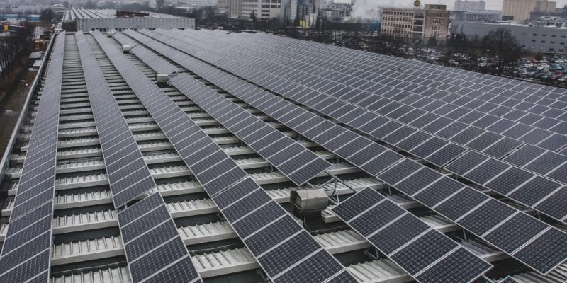 AFRIQUE DU SUD : Sola Group fournira 8,7 MWc de solaire aux brasseries d’Anheuser©Anze Furlan/Shutterstock