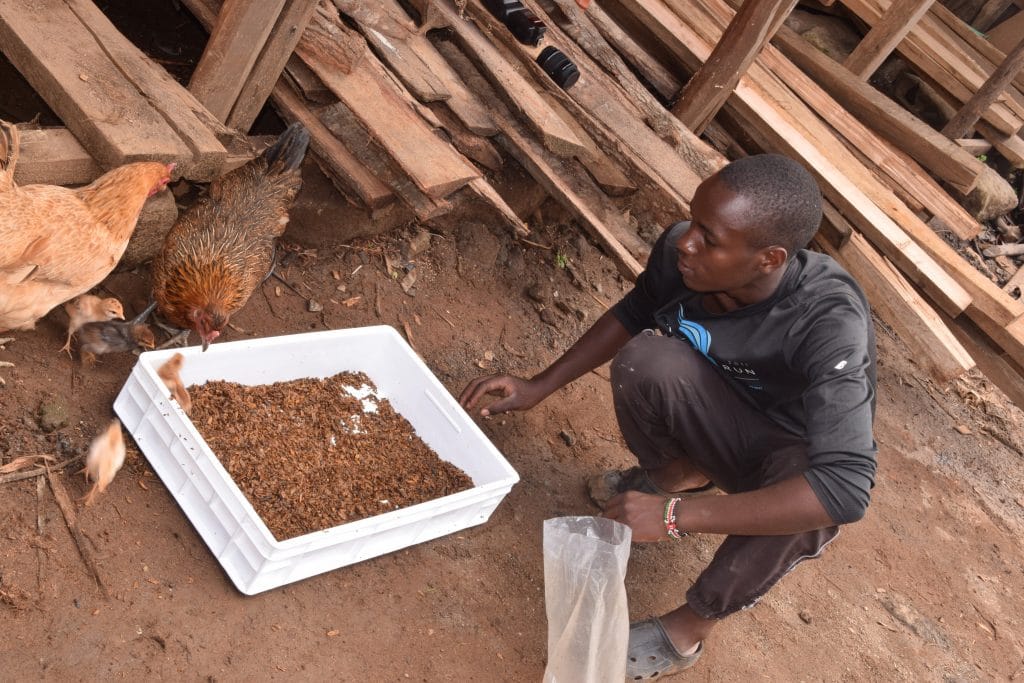 KENYA : GreenTec investit dans la start-up de valorisation des déchets Ecodudu©de Ecodudu