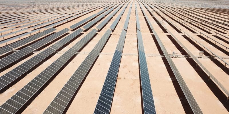 AFRIQUE DU SUD : Scatec Solar connecte la centrale solaire de Sirius de 86 MWc©Scatec Solar