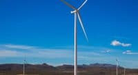 SENEGAL: Government inaugurates first phase of Taïbe Ndiaye wind farm ©Gilles Paire/Shutterstock