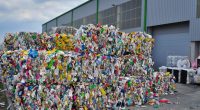 EGYPT: Henkel joins forces with Plastic Bank to recover plastic waste ©Meryll/Shutterstock
