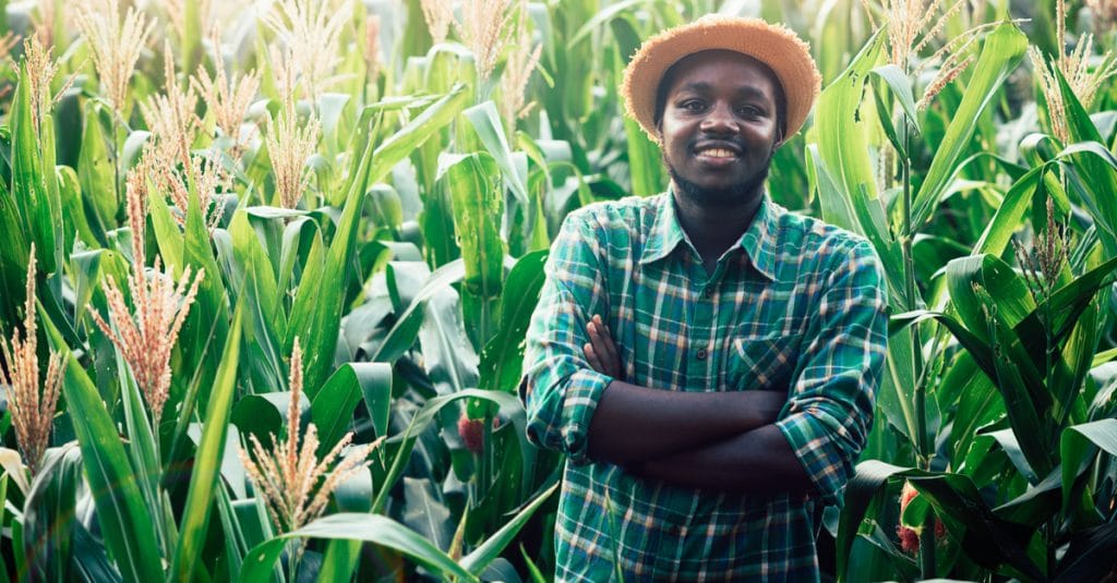 AFRIQUE DE L’OUEST : l’Allemagne va subventionner l’agroécologie à hauteur de 16 M€©arrowsmith2/Shutterstock